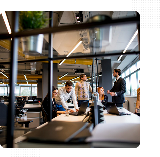 Plan profesional 3 Group 39520