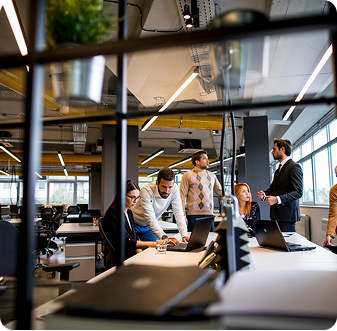 Plan profesional 4 media 1